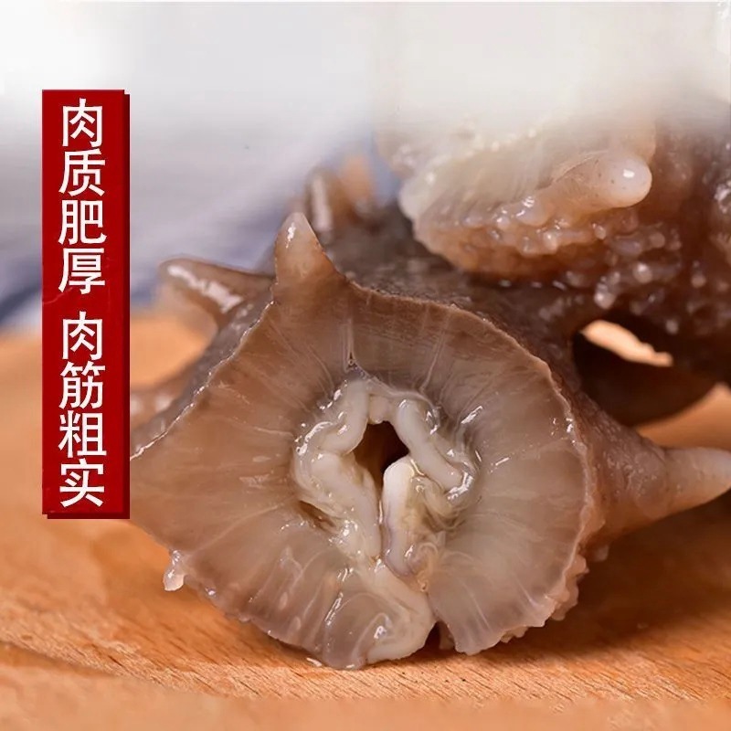 Nó tốt cho hải sâm nhỏ.