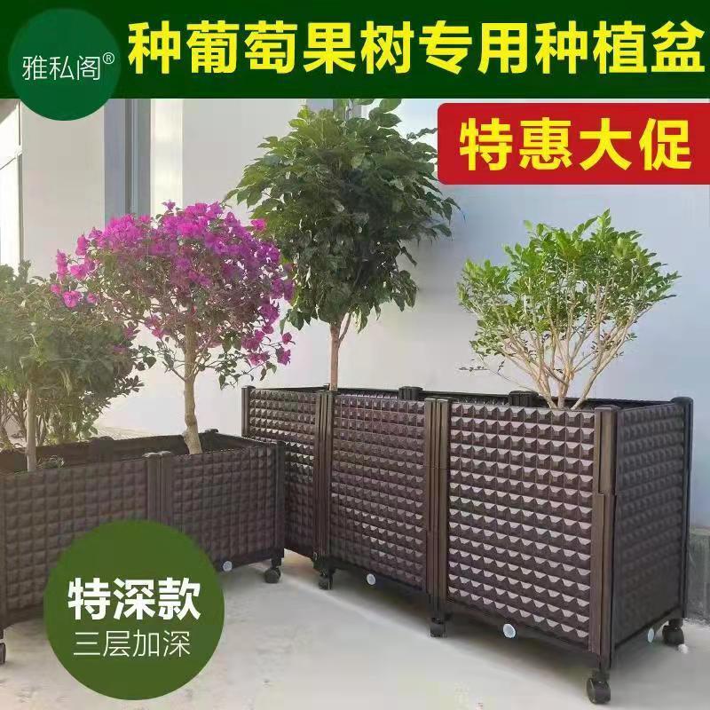 Một nhà máy thực vật gia đình với máy phân tích gia tốc và một chậu bông hoa hình chữ nhật