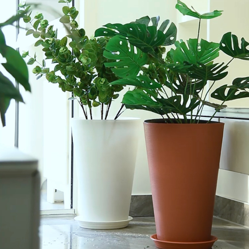 Trại làm vườn của nhà máy là về cao hơn và dày hơn để xay tròn giống như chậu hoa nhựa.
