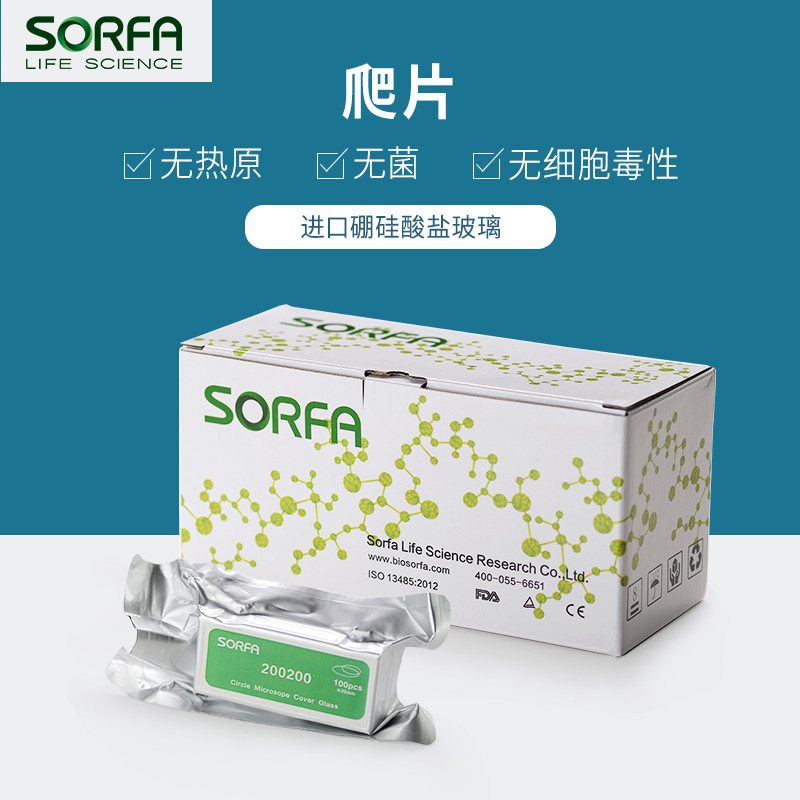 SORFA Cheap Cream with Brethren 14 mm/20mm/25mm Import of Borate glass cultures