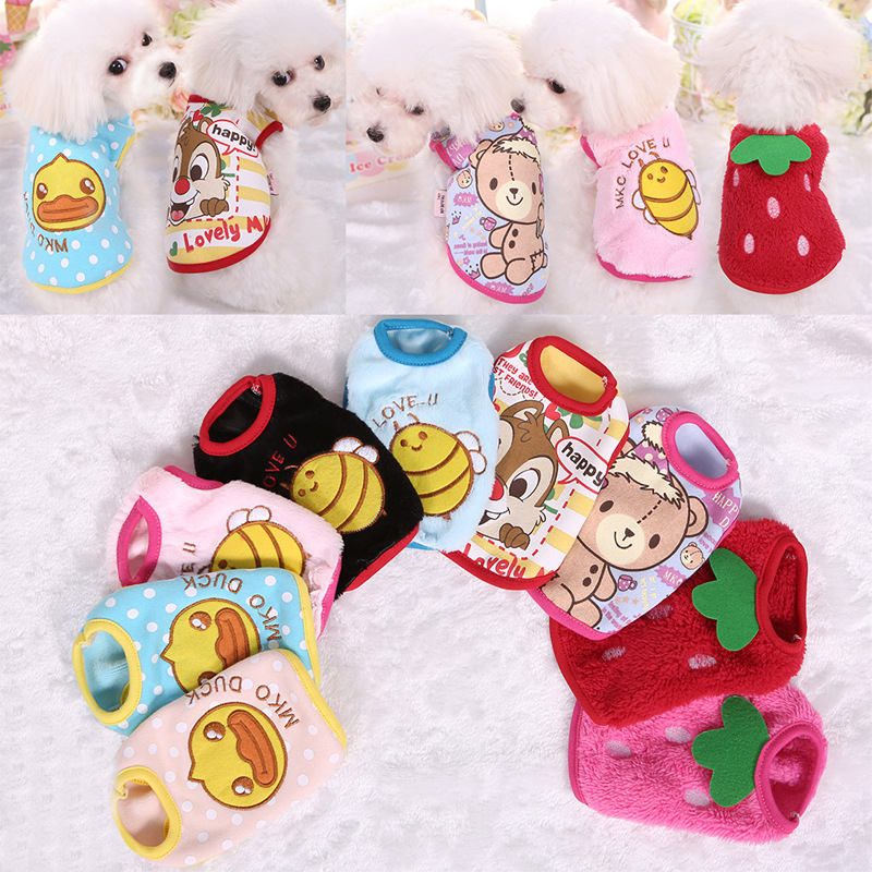 Một con chó cưng mới, VIP của Teddy. Yorkshire, một con chó con, một cái váy chó sữa, một cái váy cún con.