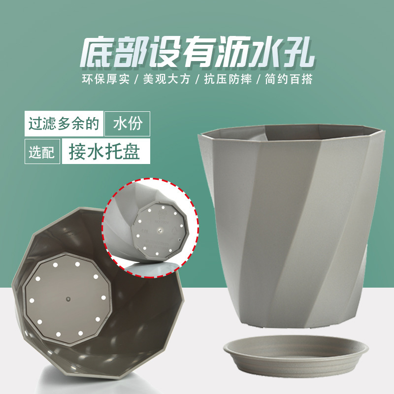 Những sợi xoắn ốc cổ điển của Northerland với cát dày xay trong những đĩa củ cải xanh.