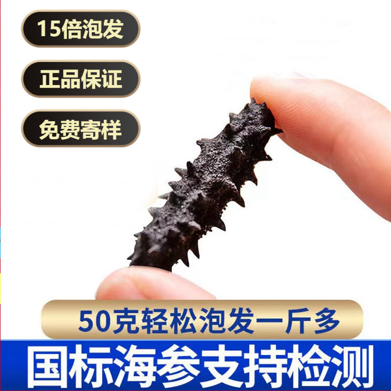 Nó tốt cho hải sâm nhỏ.