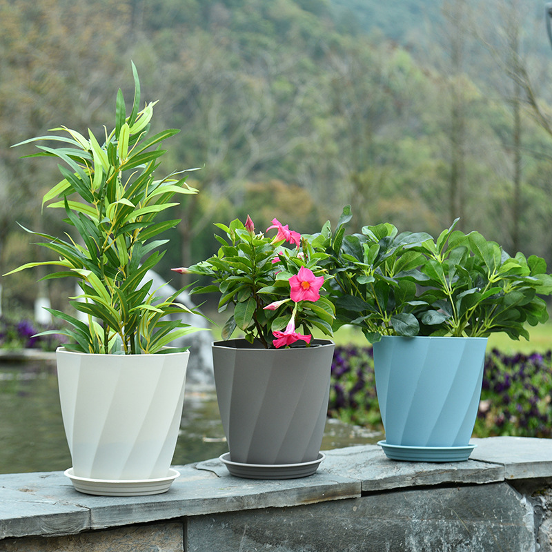 Những sợi xoắn ốc cổ điển của Northerland với cát dày xay trong những đĩa củ cải xanh.