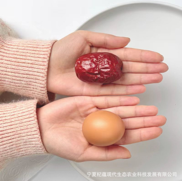 Xin chào.