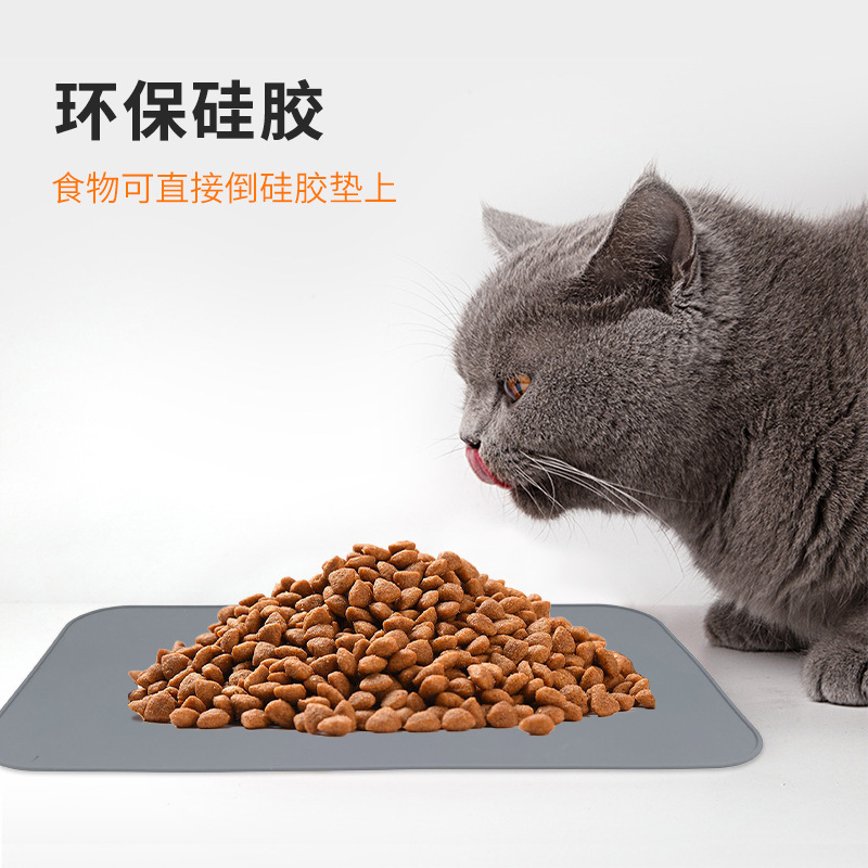 Một con mèo nuôi với nước sốt silicon. Nước sốt Silicon.