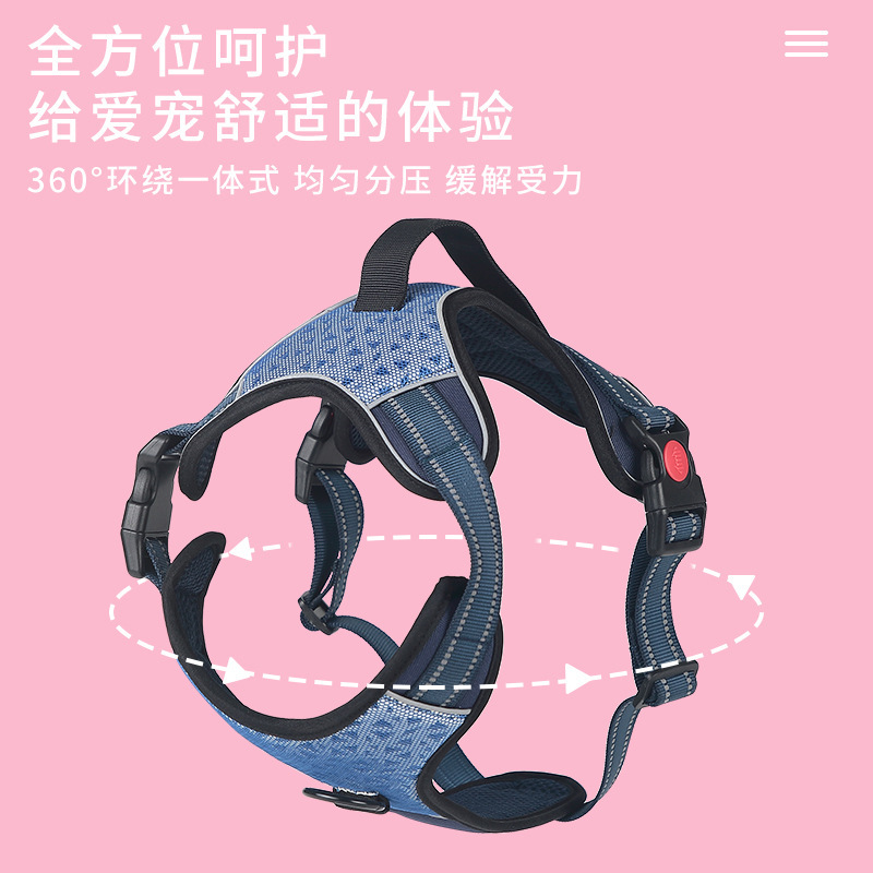Thắt lưng con chó không bị nổ.