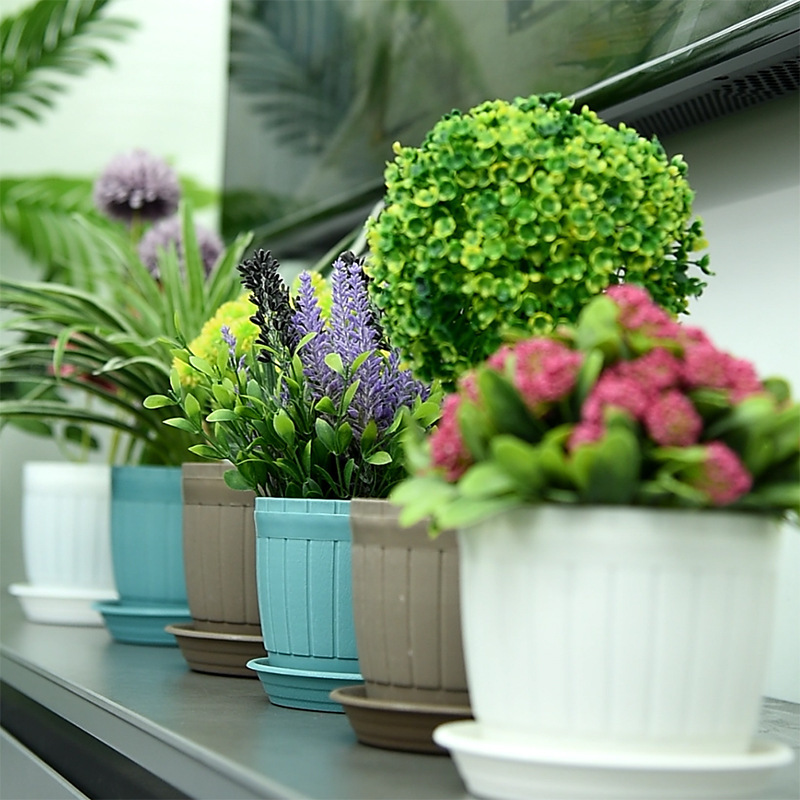 Khu trại trực tiếp của nhà máy sắp sửa được mô phỏng.