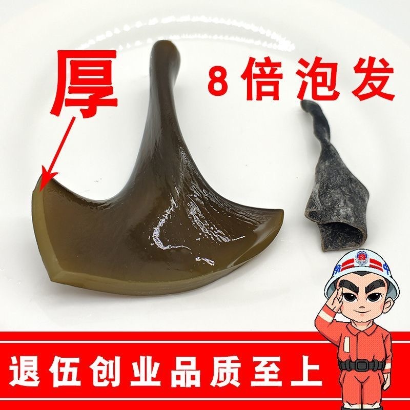 Đặc nhiệm Fujian sản xuất mặt trời tươi và làm khô biển và dẫn đầu cho hệ thống băng biển chất lượng cao và súp hải sản khô.