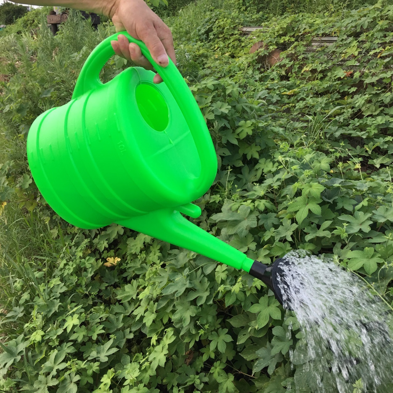 Toàn bộ công cụ nông nghiệp và chậu nhựa 10L với miệng dài và hoa