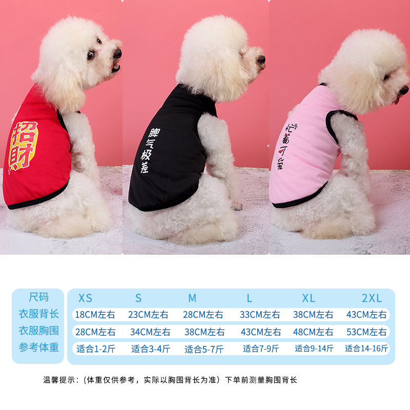 Áo con chó, áo thỏ, áo ngực của Teddy Cat.
