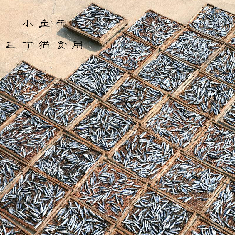 三丁貓零食小魚乾淡水魚龜糧乾糧寵物倉鼠零食瓶裝河鮮魚乾非散裝