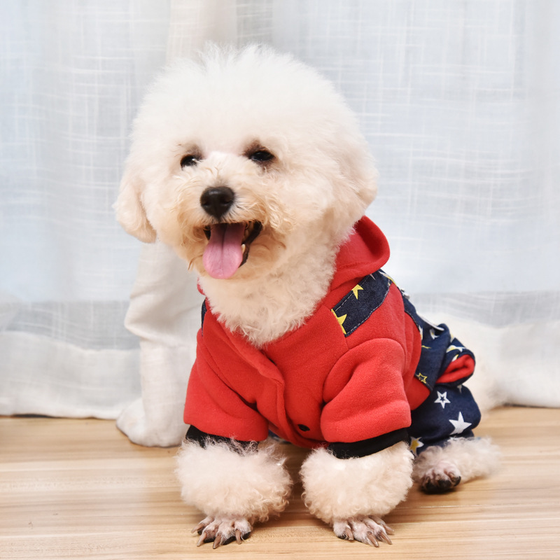 Nhà máy bán quần áo cho thú cưng, mèo và mèo vào mùa thu và mùa đông.