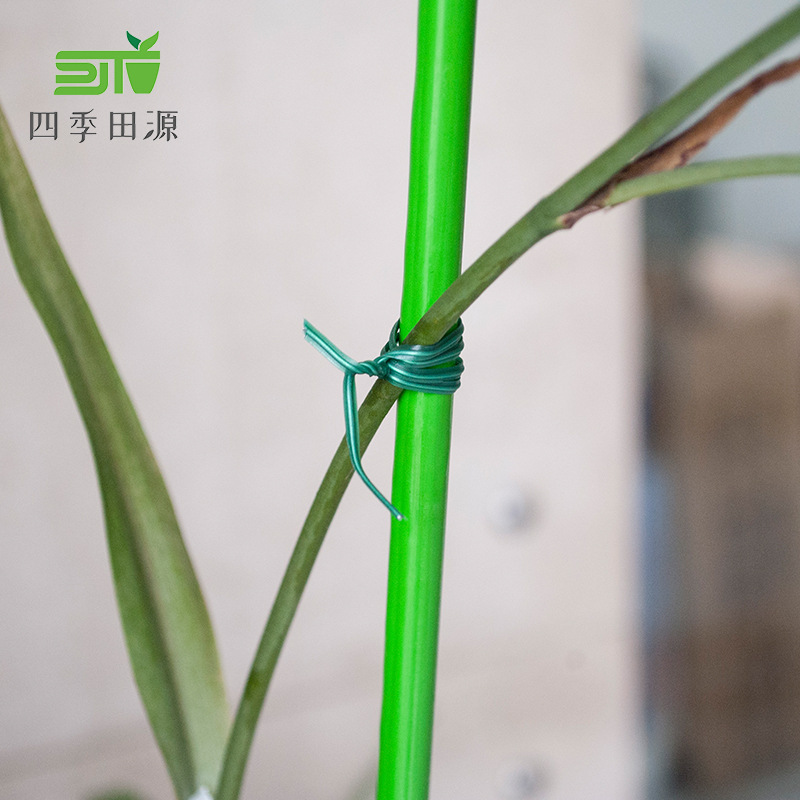 Khoảng 20 đến 100m Zorin với mảng thực vật Vùng Zolt Zip-Zip-Zip-Zip-Zip-Zip-Zip-Zip-Zip-Zip-Zip-Zip-Zip-Zip-Zip-Zip-Zip-Zip-Zip-Zip-Zip-Zip-Zip-Zip-Zip-Zip-Zip