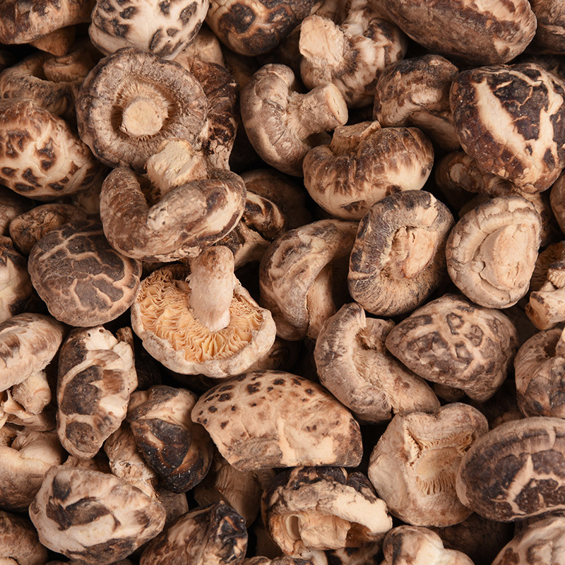 Dried mushrooms, mushrooms, and white mushrooms.