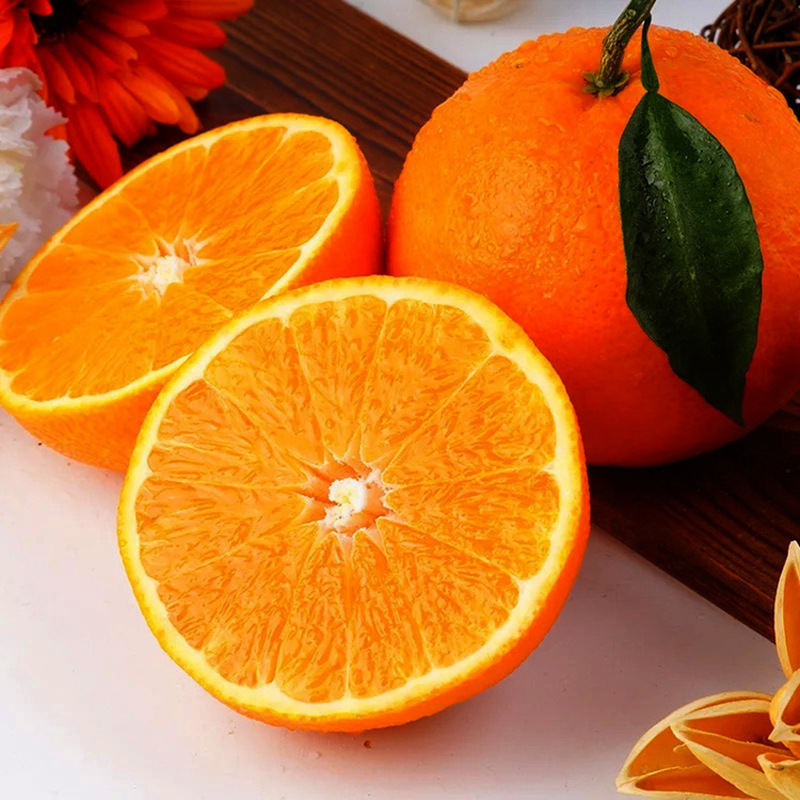Bây giờ hái trái cây và cam từ một quả cam ngọt, mỏng, trái cây, ngọt.