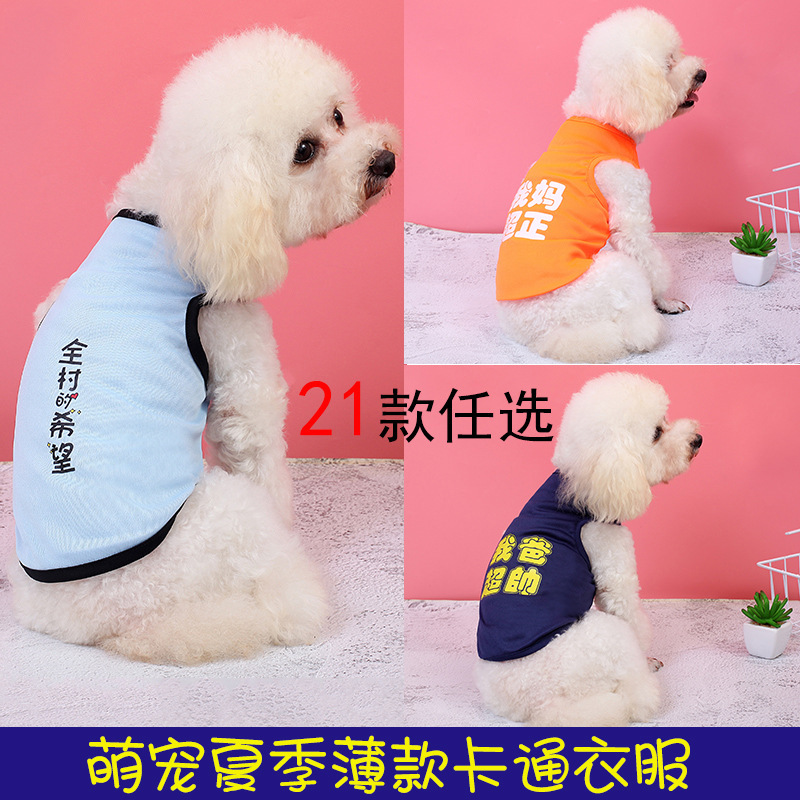 Áo con chó, áo thỏ, áo ngực của Teddy Cat.