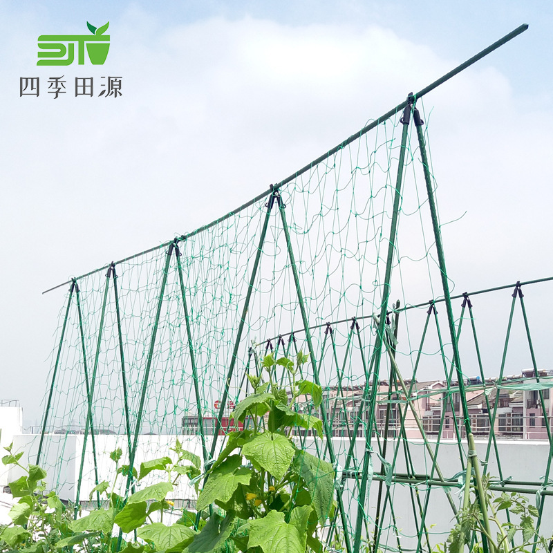 Loài bò sát nylon bên ngoài phòng rau.