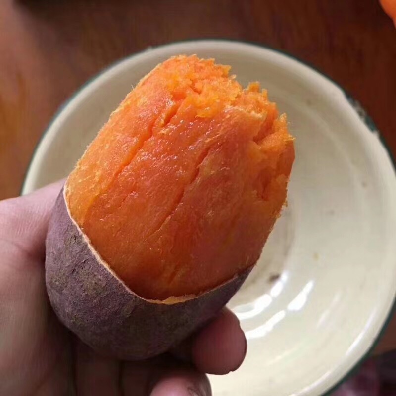 빨간 감자 신선한, 6-sand-sand-red-grandm 농부는 빨간 heart-breaded melon-cracked 감자의 5 파운드의 상자를 파고 있습니다.