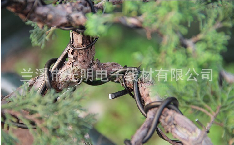 Các đường bạch kim, các đường nhôm mềm tạo ra từ vườn.