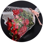 PLA biodegradable fully transparent, soft BOPLA clothing packaging, self-adhesive bags, flower bags, membranes