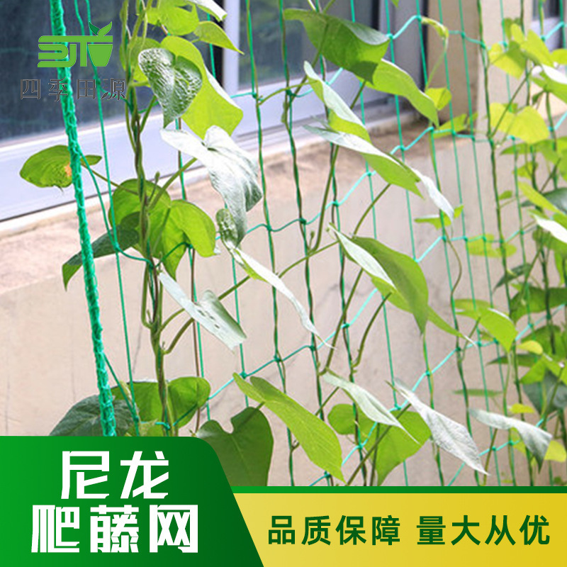 Loài bò sát nylon bên ngoài phòng rau.