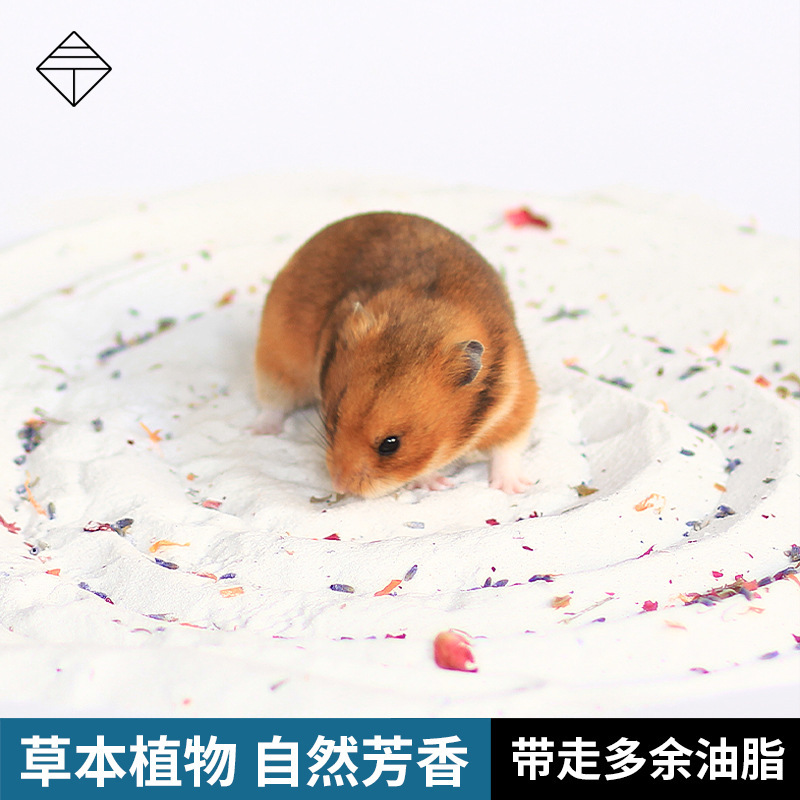 Hamster tắm trong sa mạc đầy cát, bôi dầu cho con gấu hôi thối với một túi tắm tự nhiên đầy muối cát.