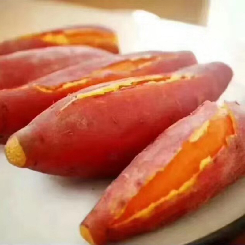 Giờ chúng ta đang đào một hộp khoai tây tươi 5 pound.