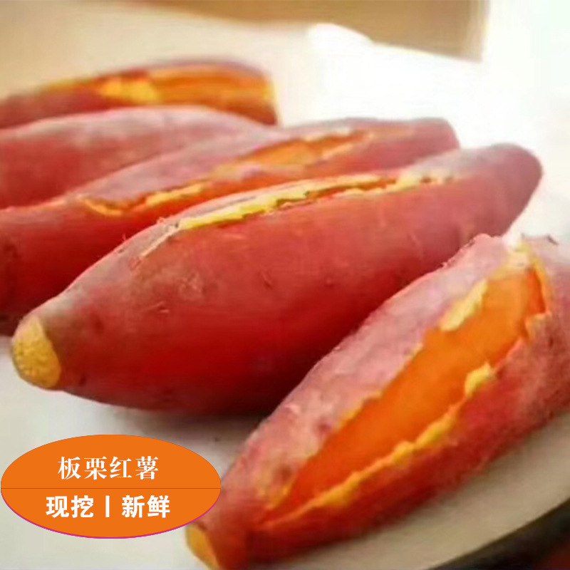 Khoai tây đỏ tươi, một nông dân 6 tuổi, đang đào một hộp khoai tây nghiền trái tim đỏ 5 pound.