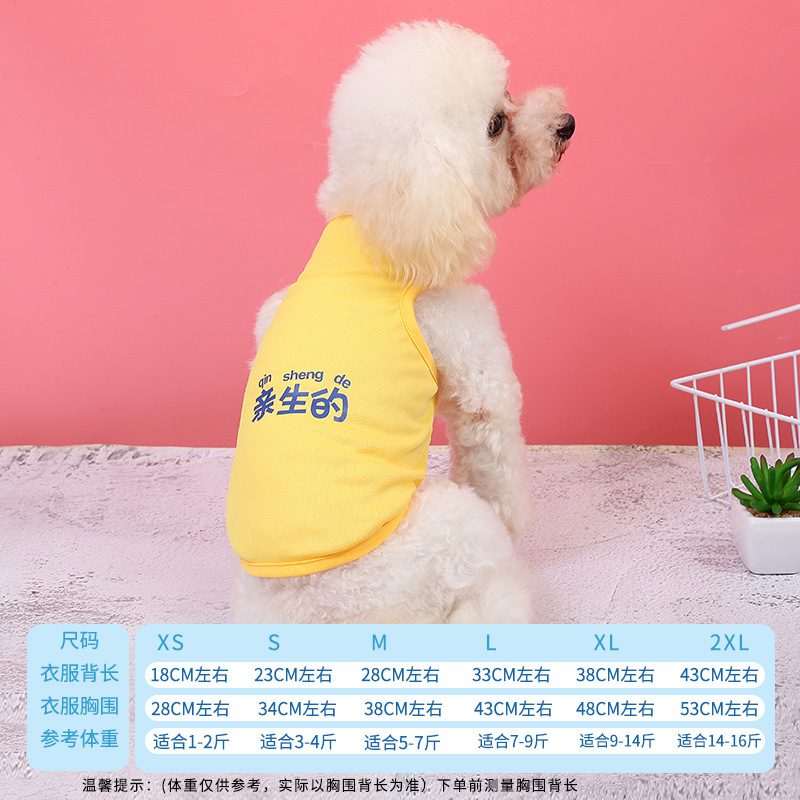 Áo con chó, áo thỏ, áo ngực của Teddy Cat.