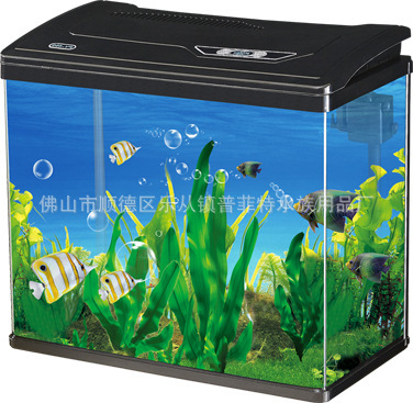 Bộ phim Puffet PY, bể cá hệ thống nhỏ, thời trang siêu thanh.