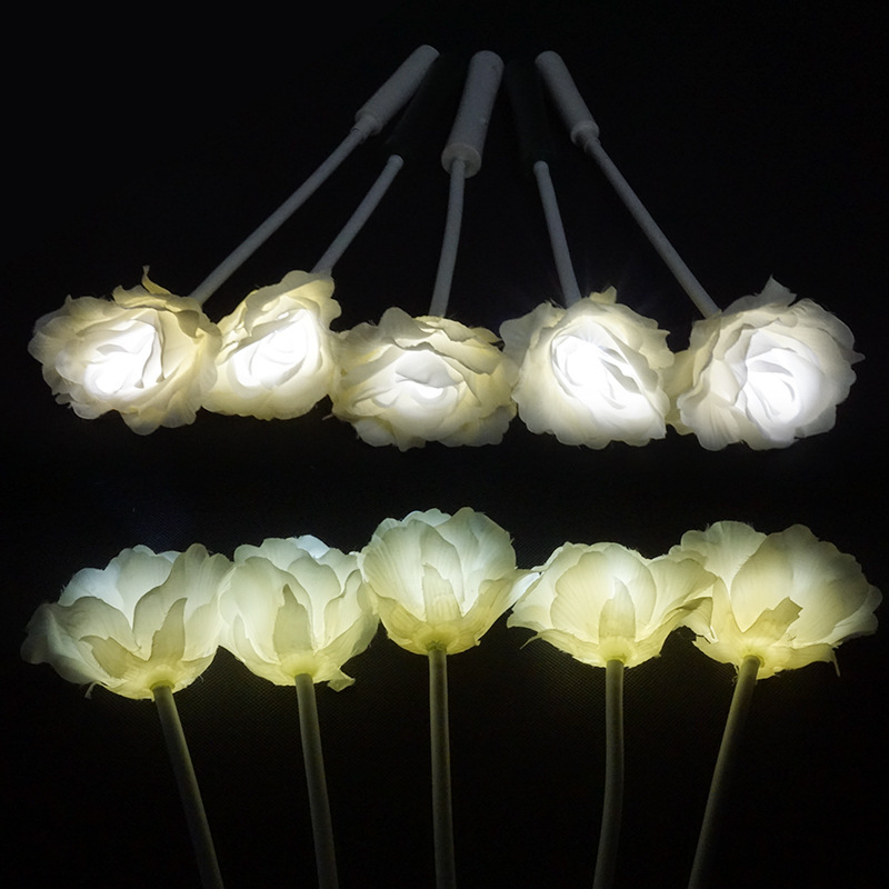 Hand-held roses, LEDs, LEDs, emulation of roses.