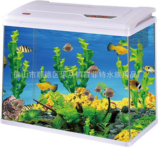 Bộ phim Puffet PY, bể cá hệ thống nhỏ, thời trang siêu thanh.