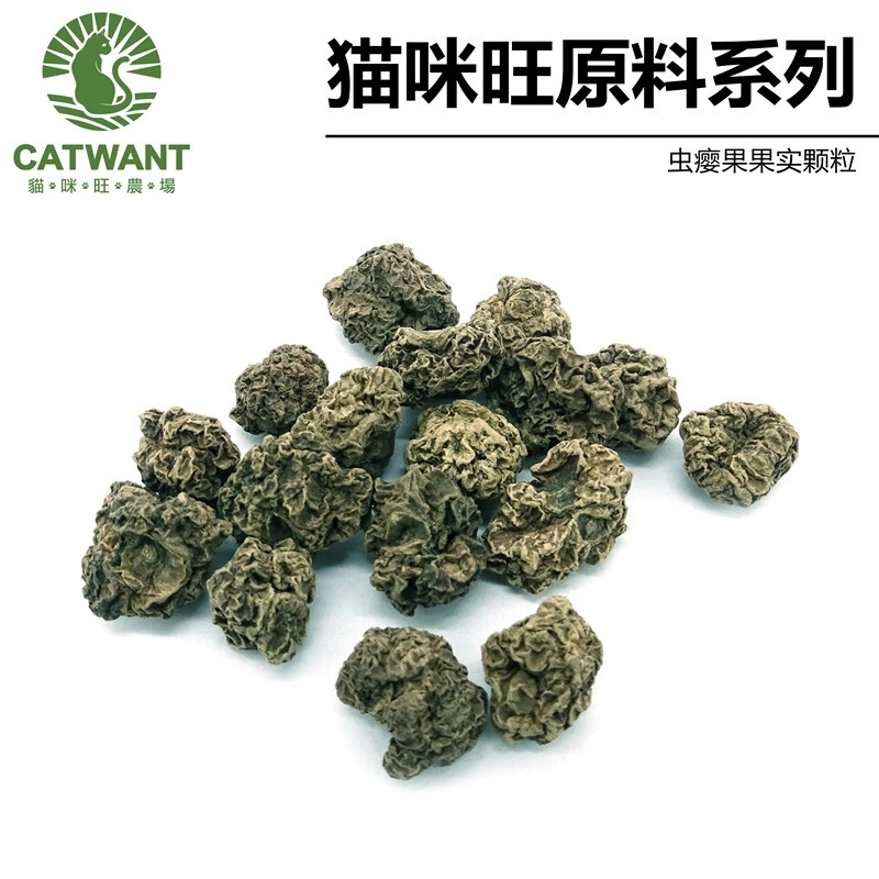 猫咪旺农场虫瘿果果实颗粒宠物洁牙舒压猫玩具填充物工厂批发 0EM