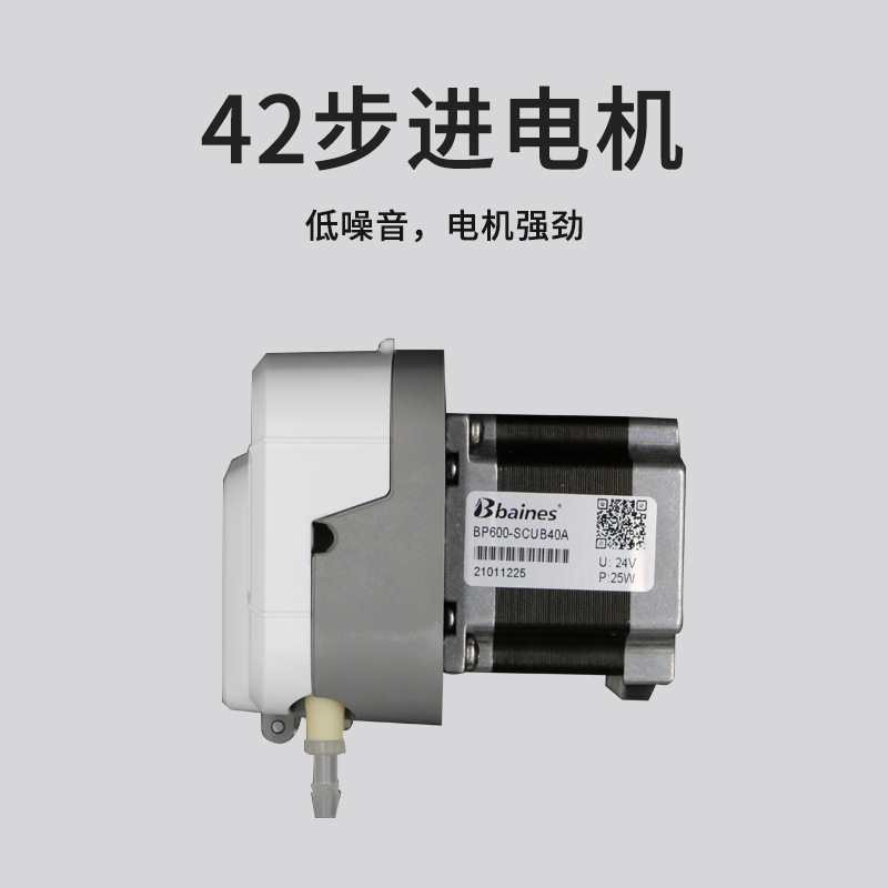 12v24v Industrial Small Pump Straight Flow Measurement Pump BP 600-step Wrinkle Pump Micro-Profession