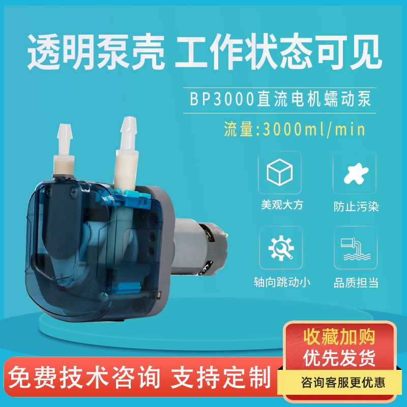 3000 ml/min heavy flow juice filled with worm pump 12/24V self-sucking pump