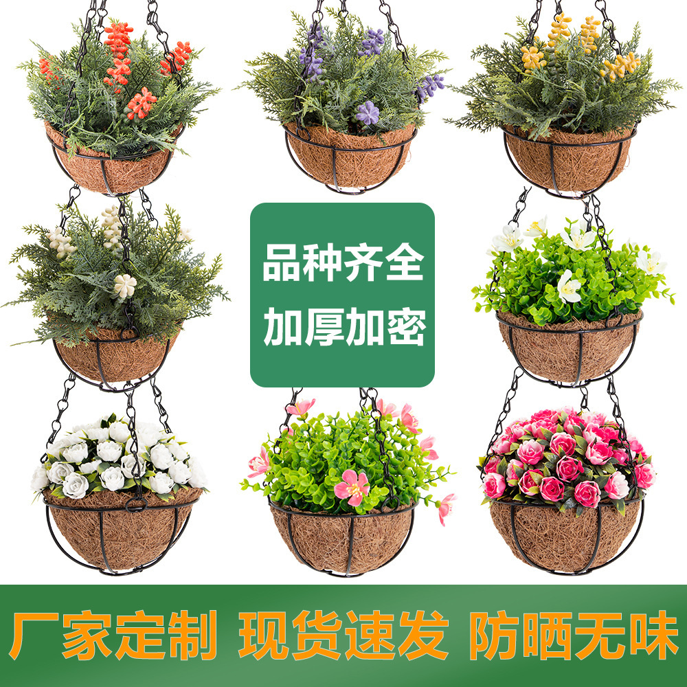 Hàng dài dòng Amazon mùa xuân mới horti craket-basket-basket-basket-basket-basket-basket