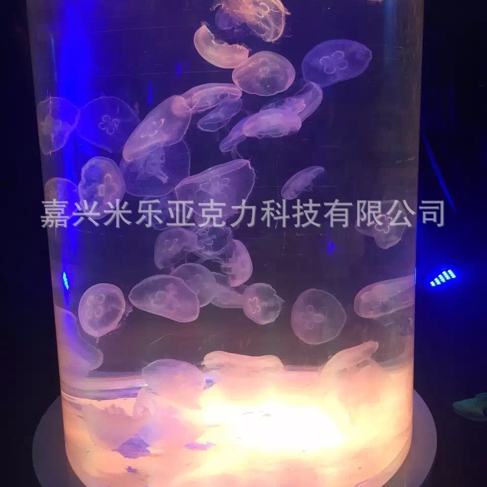 The factory sells the Aclik cylinders, the large fish tank aquarium, the marine eco-aquator.