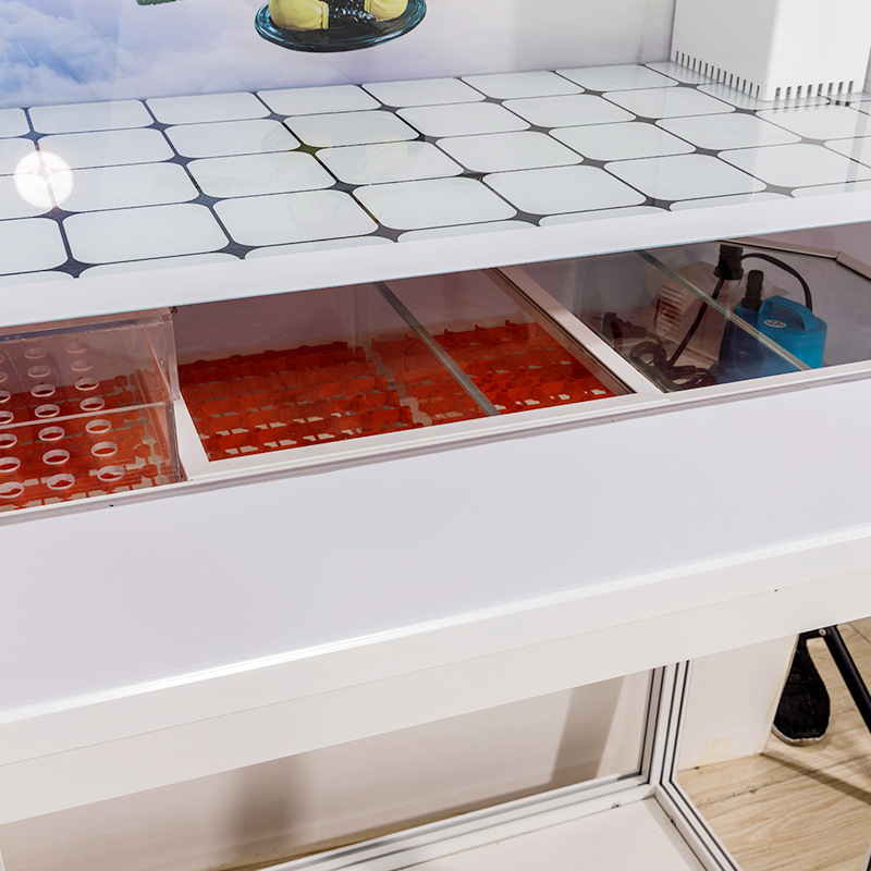 The whole whole fish tank sees the medium-sized domestic goldfish tank, the bulk of the glass tank's distribution.