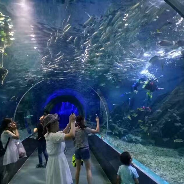 Tôi sẽ tiếp quản công trình xây dựng của Sea Hall.
