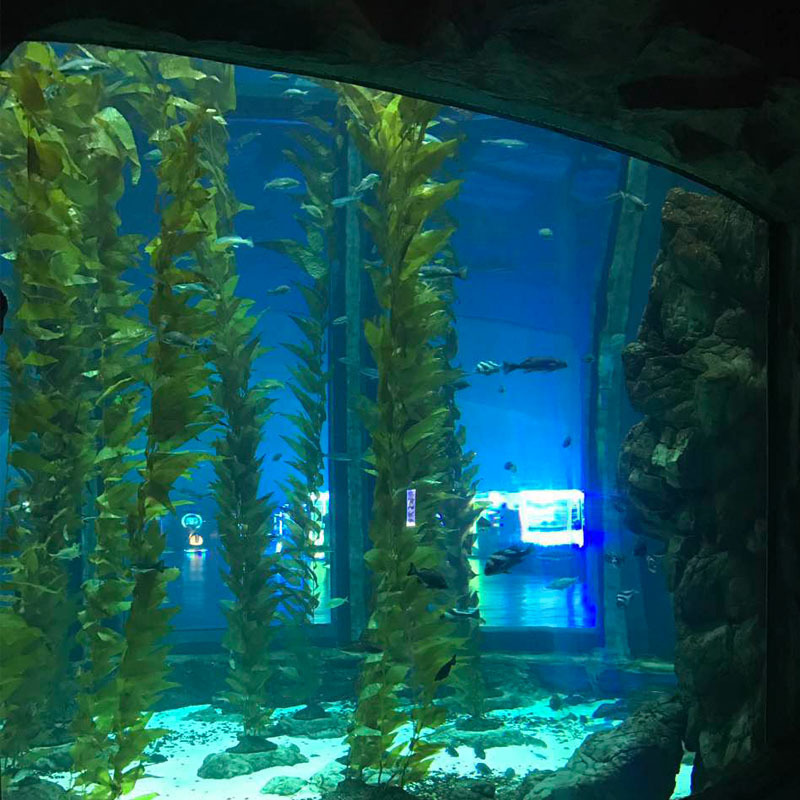 Tôi sẽ tiếp quản công trình xây dựng của Sea Hall.