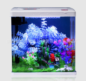 Bộ phim Puffet PY, bể cá hệ thống nhỏ, thời trang siêu thanh.