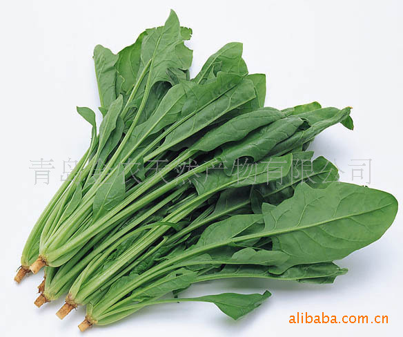 Xanh lá cây khô và rau cải hái để tô màu trái cây và bột rau bina