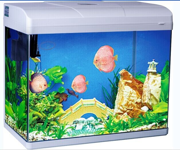 Một loạt đài PPF hoàn hảo.