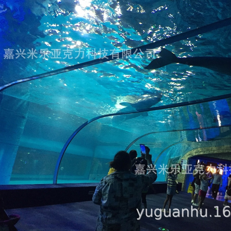 Xây dựng và lắp đặt bể cá Akli tại dự án Sea Hall