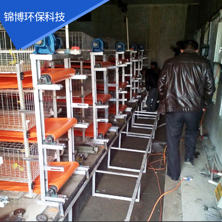 Plant chicken dung conveyor belt, ploughing water lines, septic dung transfer belt