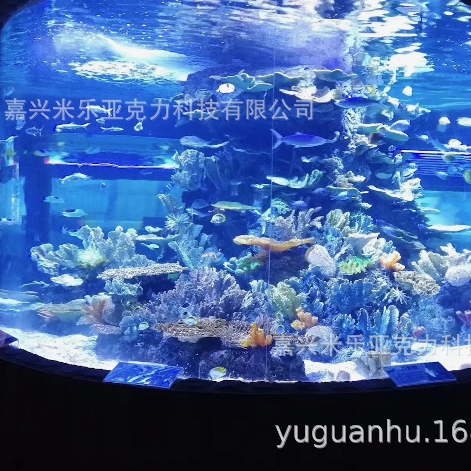 Xây dựng và lắp đặt bể cá Akli tại dự án Sea Hall