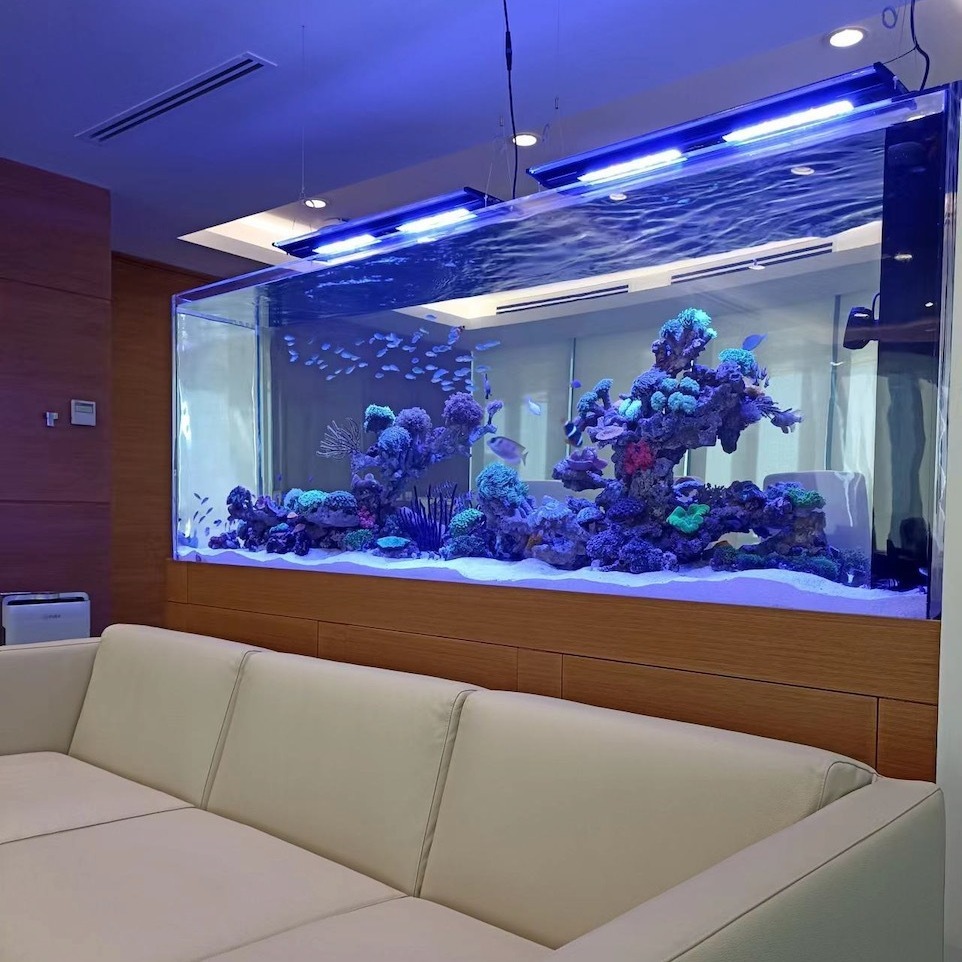 Nguồn năng lượng sẽ tạo ra một bể cá khổng lồ.