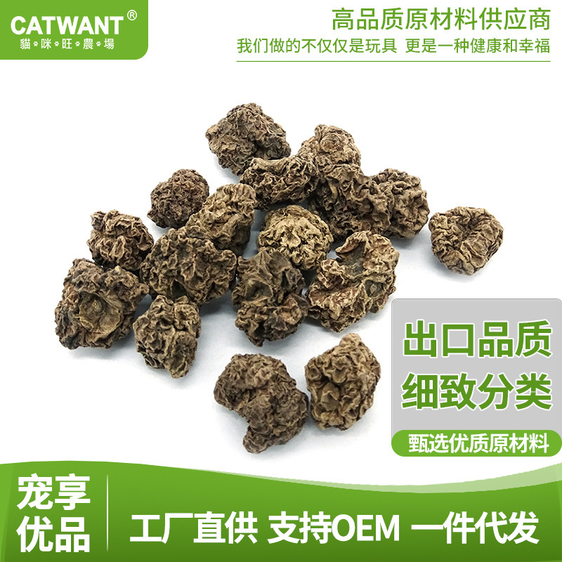 猫咪旺农场虫瘿果果实颗粒宠物洁牙舒压猫玩具填充物工厂批发 0EM