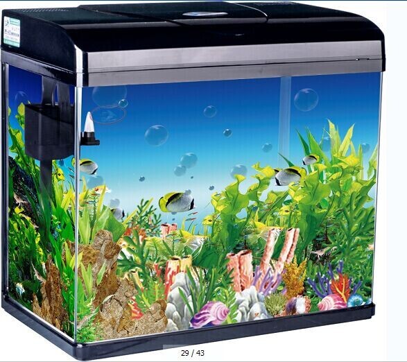 Một loạt đài PPF hoàn hảo.